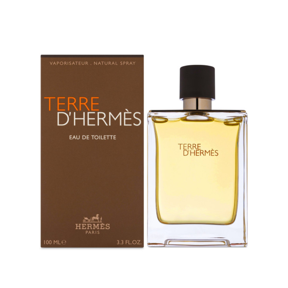 Terre D'Hermes by Hermes Eau De Toilette For Men 100ml